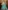 Beautiful Sky Blue Sabyasachi Floral Digital Printed Organza Party Wear Lehenga Choli