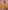 Dazzling Yellow Sequins Work Net Designer Lehenga Choli