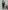 Green Chinon Embroidered Floral Notched Flared Sleeve Top And Pant Set For Women