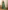Graceful Green Soft Silk Partywear Saree with Woven Meenakari Work